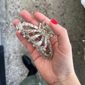 marble midi